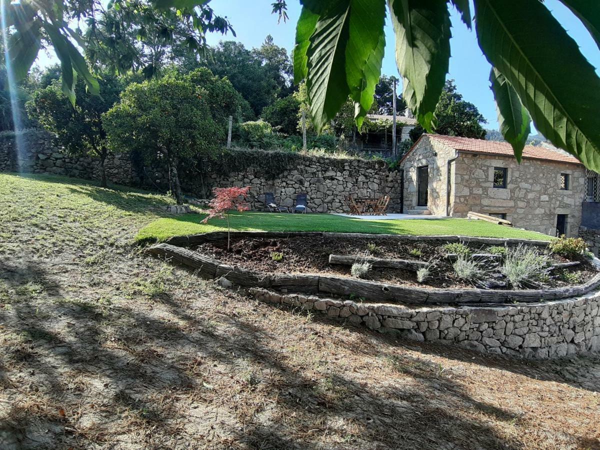 River House Sejães Oliveira de Frades Eksteriør billede