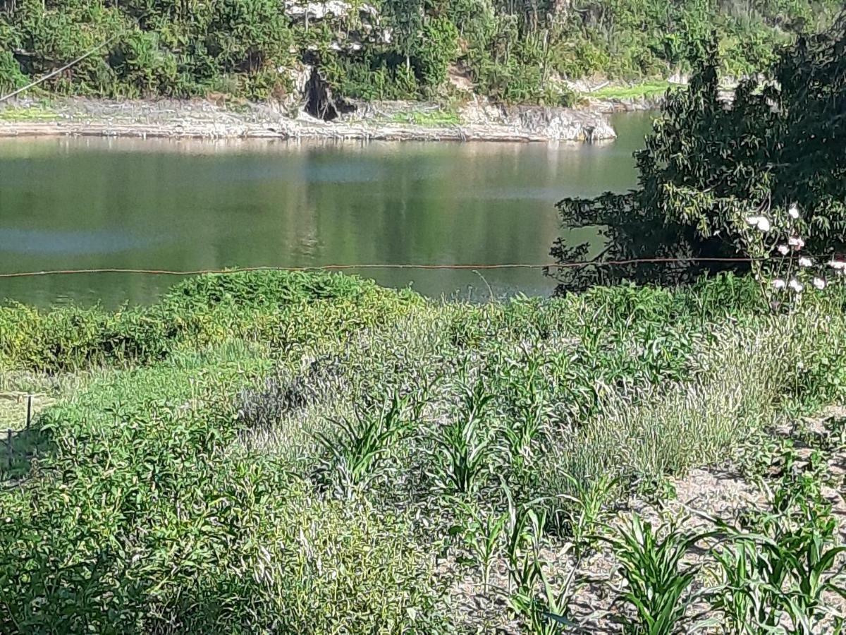 River House Sejães Oliveira de Frades Eksteriør billede
