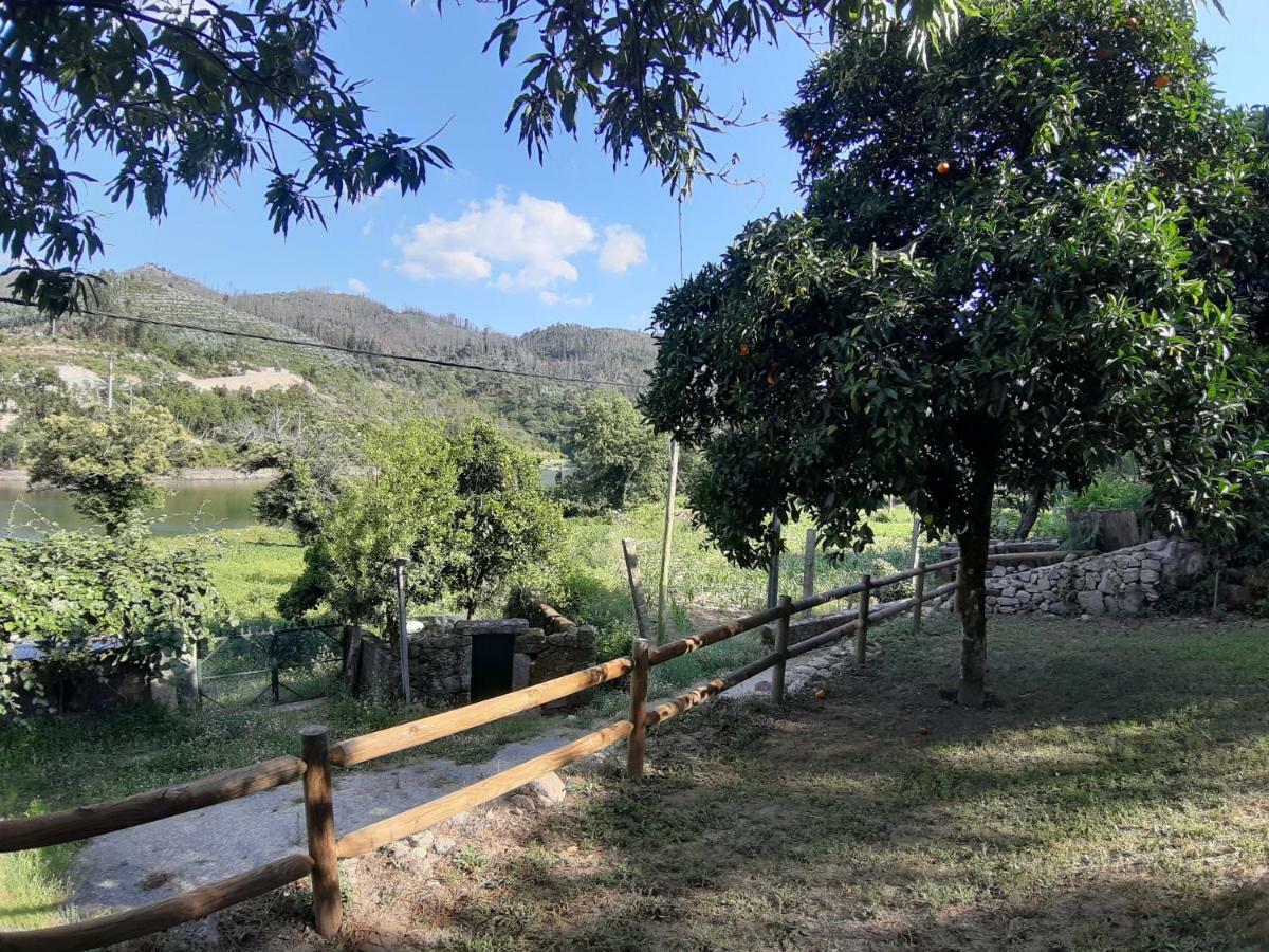 River House Sejães Oliveira de Frades Eksteriør billede